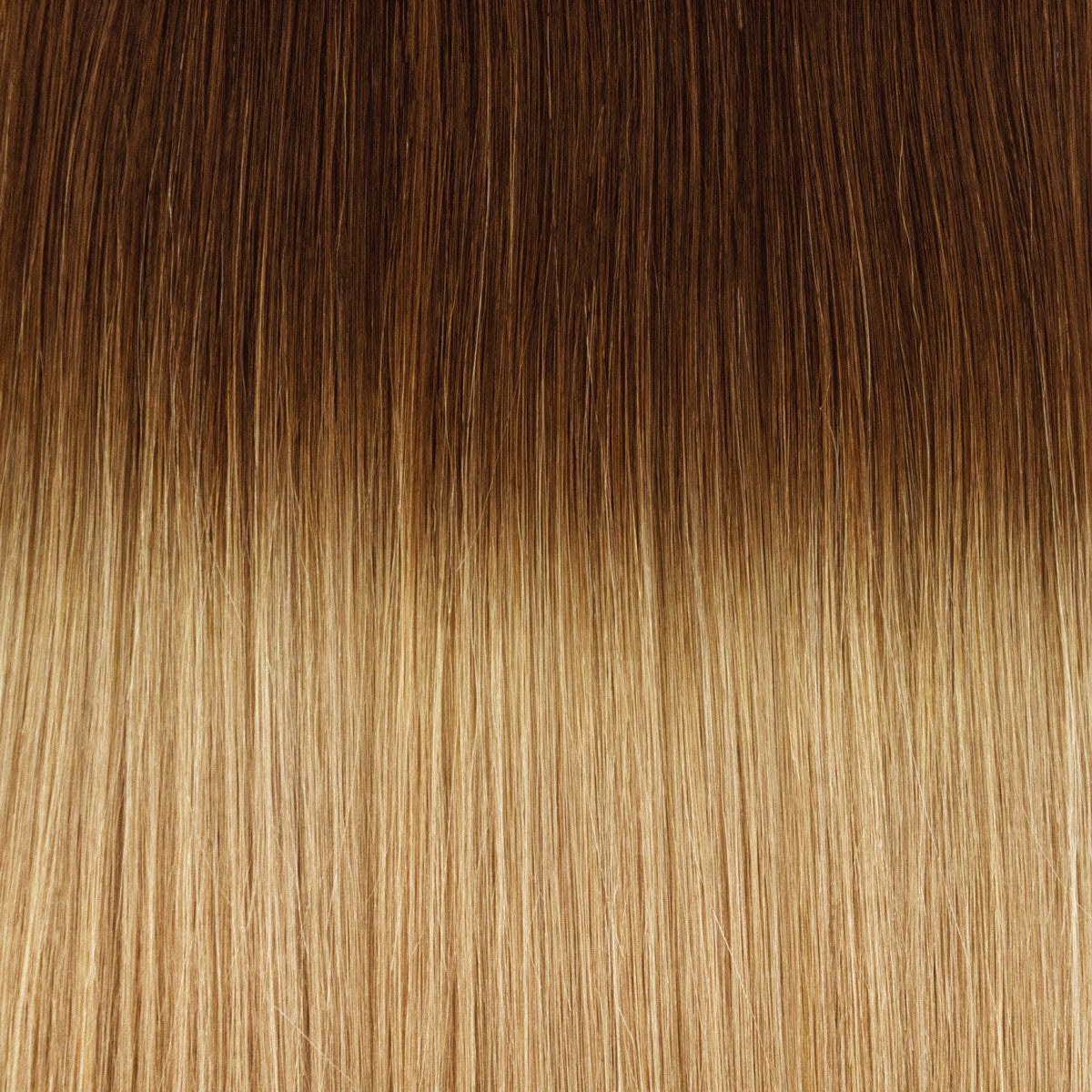 #haarfarbe_ombre #06/20