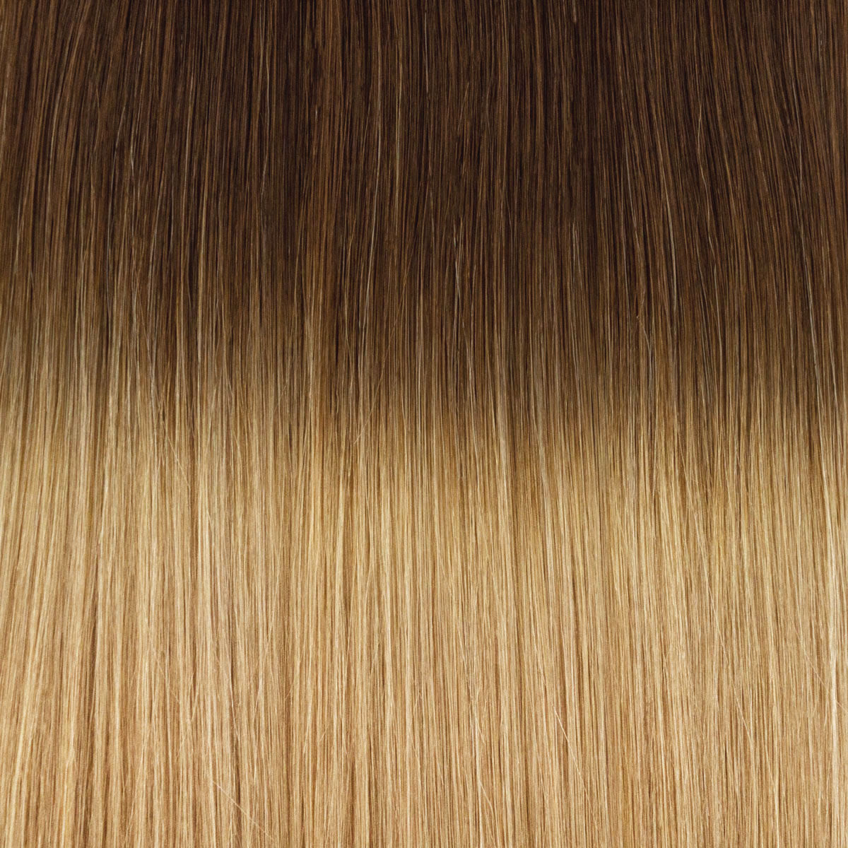 Genius Weft root #06/20